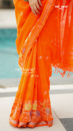 Multicolour Sico Handloom Saree for Daily Elegance