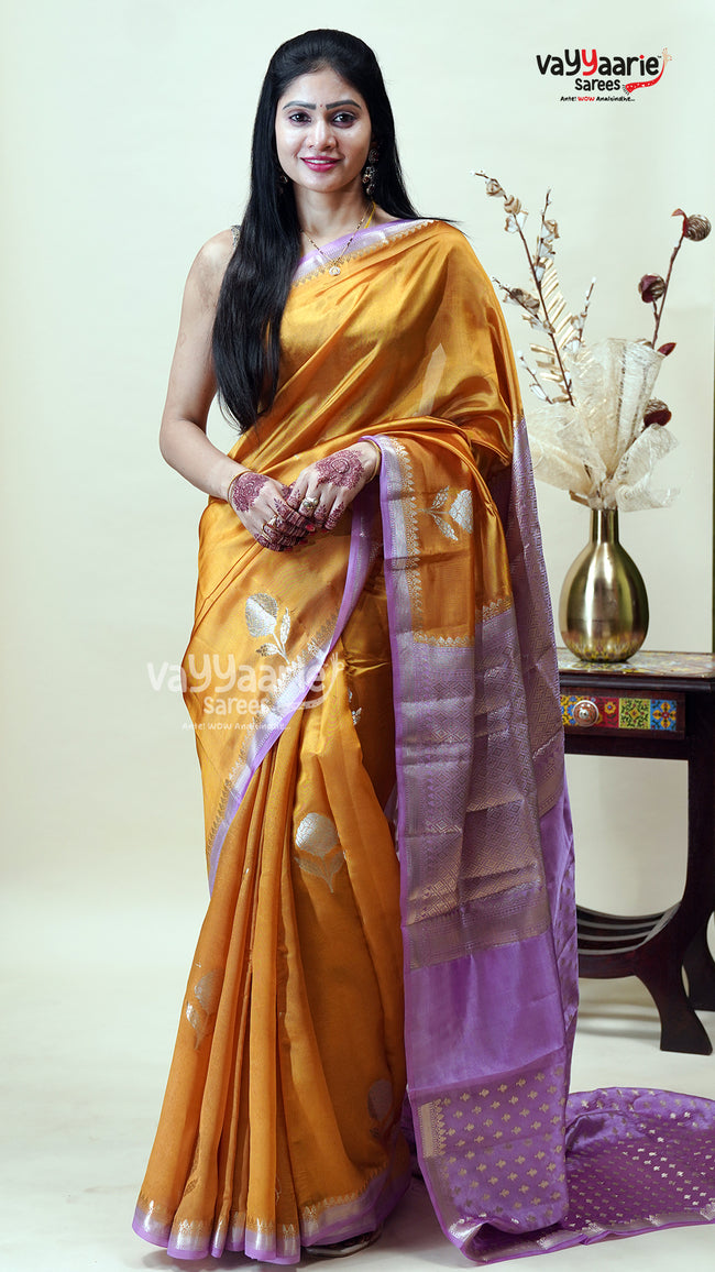 Multicolour Chiniya Silk Saree for Women Hover Image