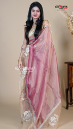 Pink Organza Fancy Saree for Social Gatherings