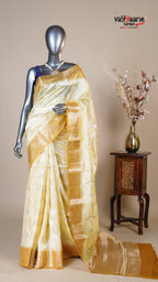 Multi Colour Chiniya Silk Fancy Saree for Ceremonial Wear