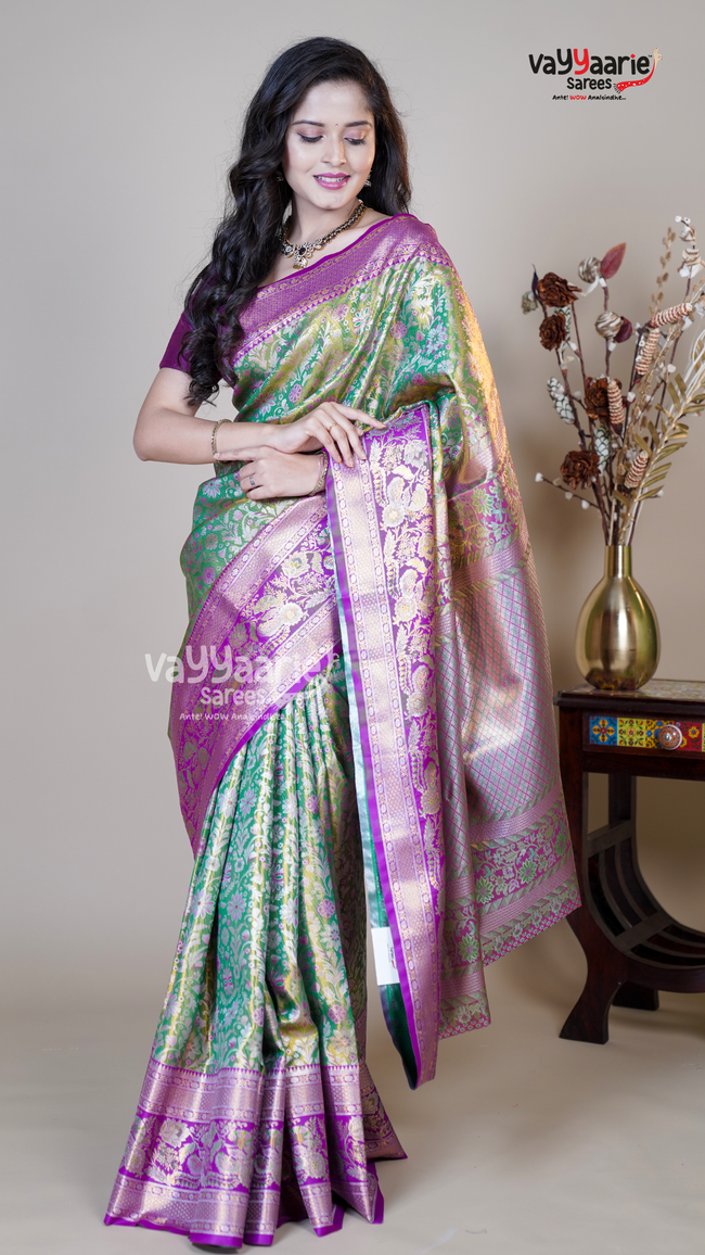 Multi Colour DMM Pattu Traditional Saree for Gatherings Main Image