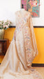 Biscuit Glass Tissue Saree | Fancy Ethnic Wear Saree | Vayyaarie Sarees