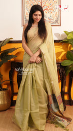Pista Green Chanderi Saree | Classic Handloom Saree | Vayyaarie Sarees