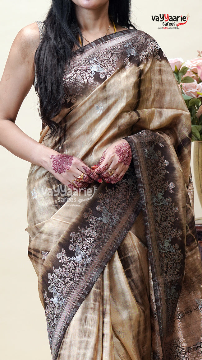 Multicolour Tissue Saree for Festive Moments Main Image