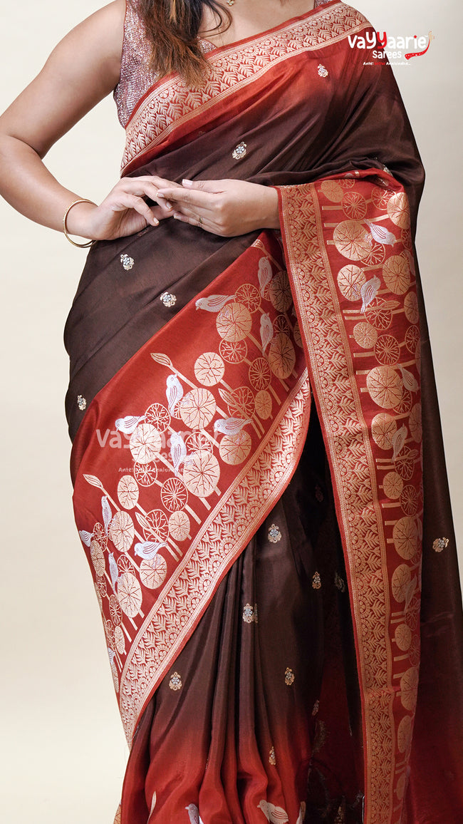 Classic Multicolour Tissu Saree for Events Main Image