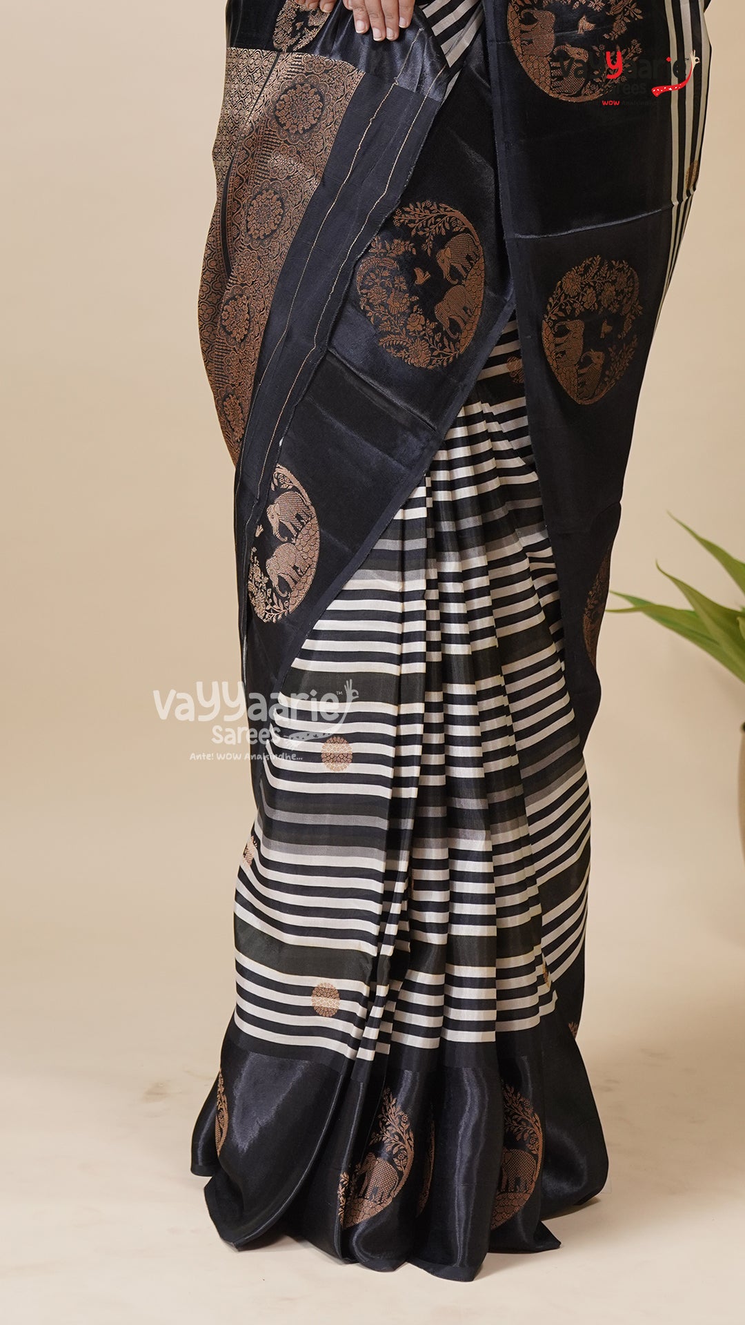 Budget Multicolour Tissu Saree for Women