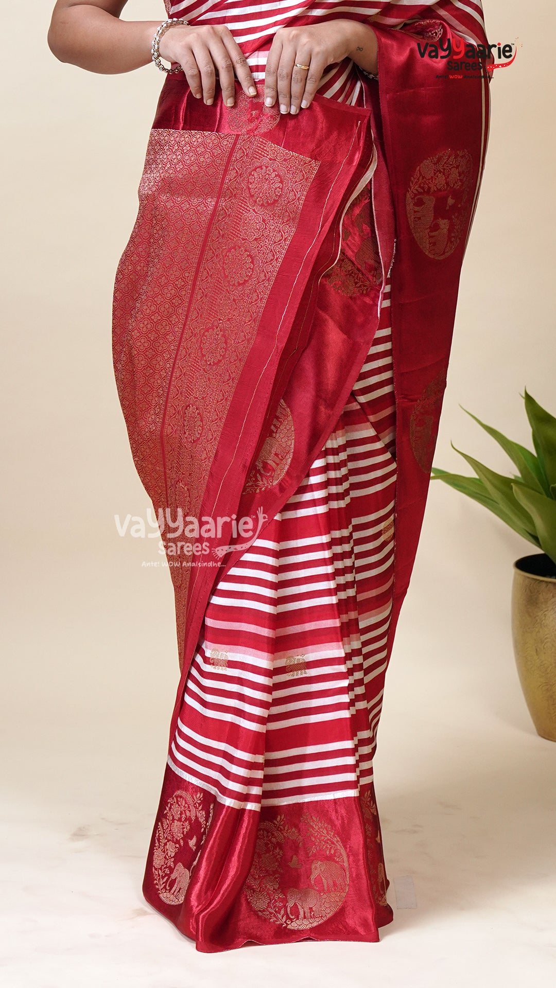 Multicolour Tissu Fancy Saree for Gifting