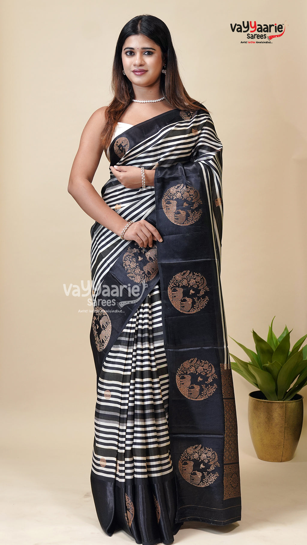 Budget Multicolour Tissu Saree for Women